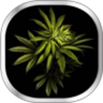 weed live wallpaper android application logo